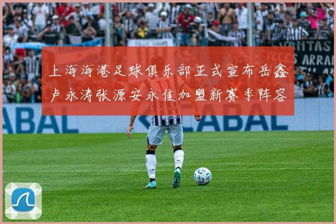 上海海港足球俱乐部正式宣布岳鑫卢永涛张源安永佳加盟新赛季阵容更新