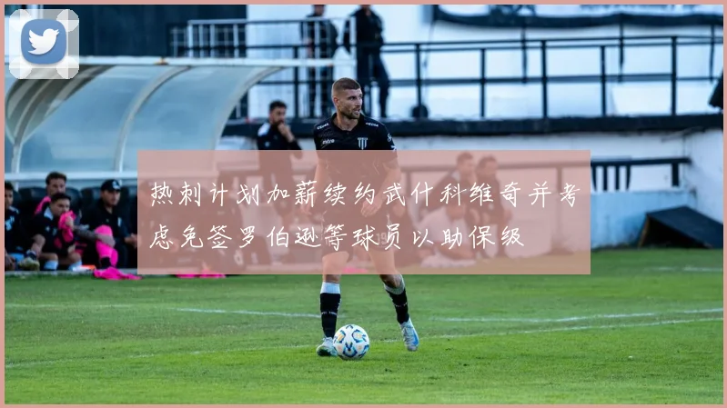 热刺计划加薪续约武什科维奇并考虑免签罗伯逊等球员以助保级